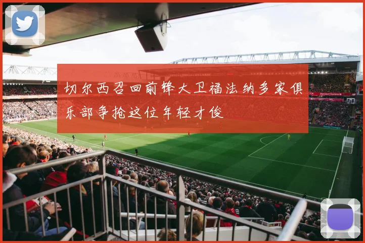 切尔西召回前锋大卫福法纳多家俱乐部争抢这位年轻才俊
