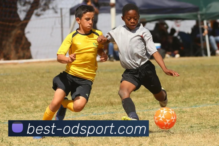 OD体育发展历程